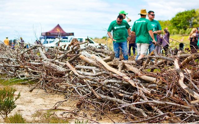 Gansbaai Braaing for the Agulhas Plains rich biodiversity 1_1